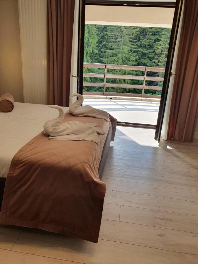 Apartament Ozon بويانا براسوف المظهر الخارجي الصورة