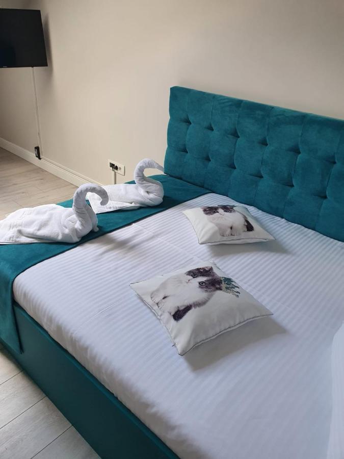 Apartament Ozon بويانا براسوف المظهر الخارجي الصورة