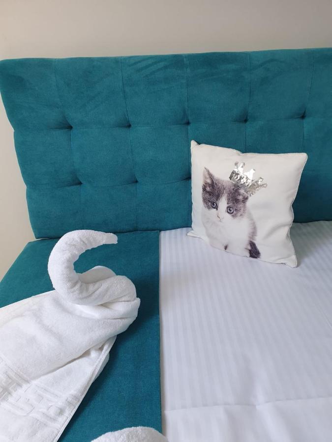 Apartament Ozon بويانا براسوف المظهر الخارجي الصورة