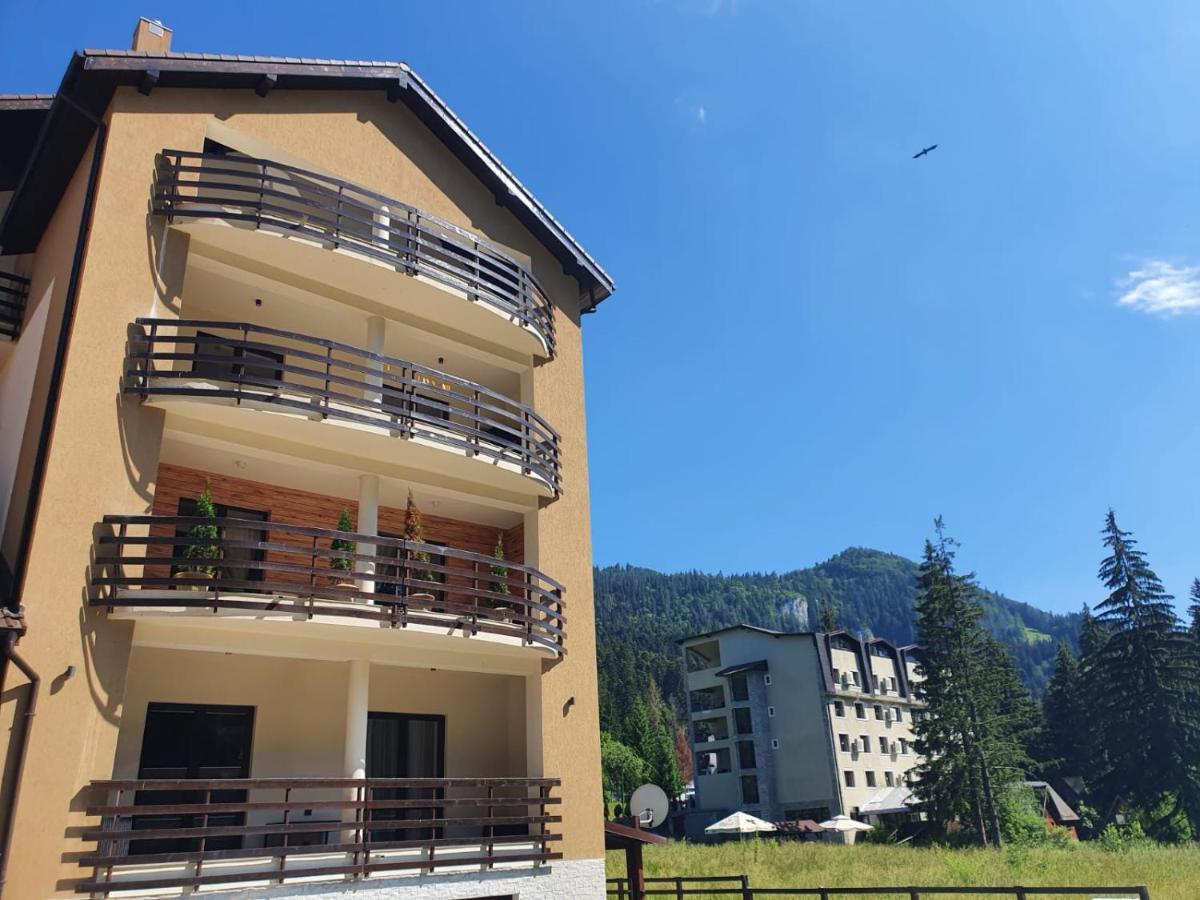Apartament Ozon بويانا براسوف المظهر الخارجي الصورة
